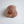 MorMe Original STP  - CUT